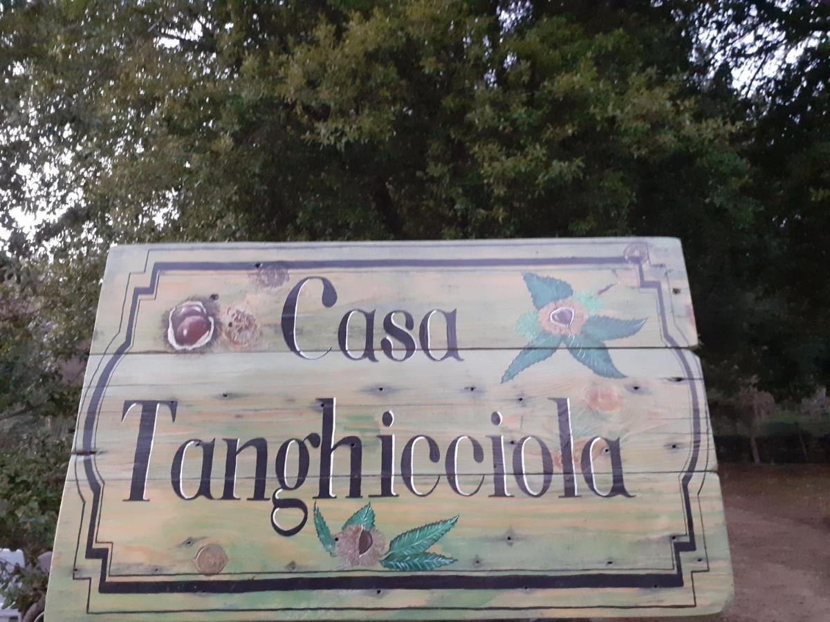 Casa Tanghicciola Levie Exterior foto